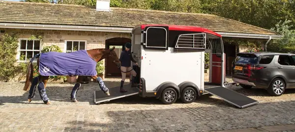 Horse being loaded into an Ifor Williams horsebox trailer